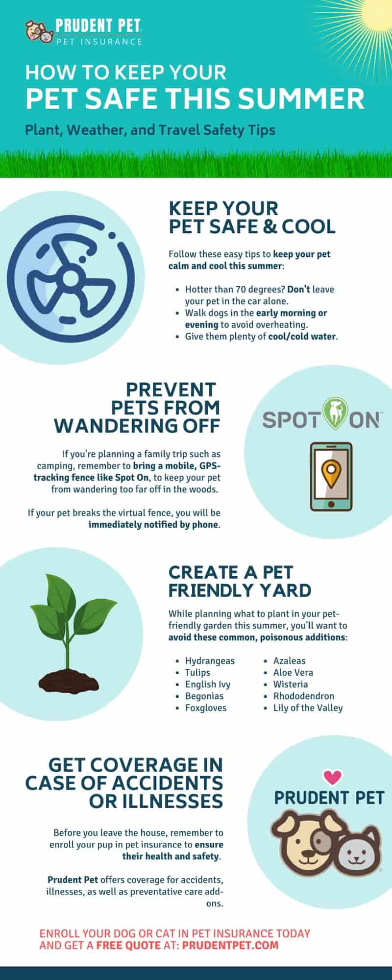 Summer Safety Tips Prudent Pet infographic for summer safety tips