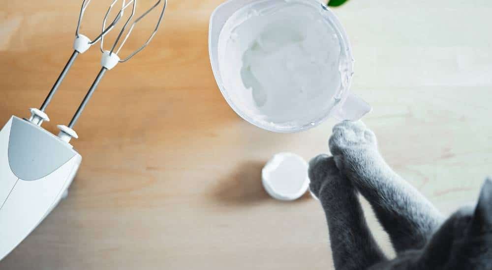 Cat Cooking Cat preparing a holiday cake